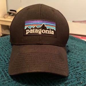 Patagonia original logo hat